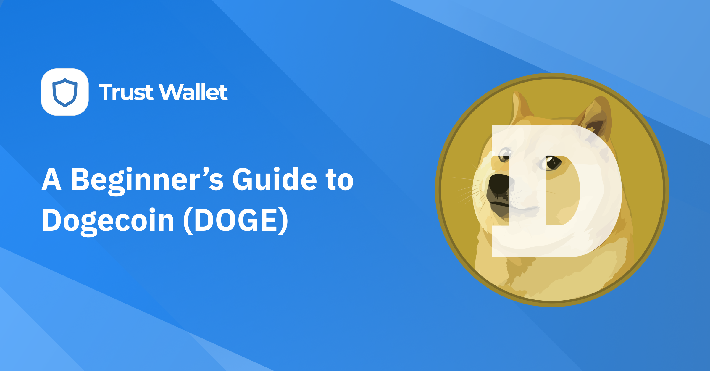 A Beginner’s Guide to Dogecoin (DOGE)