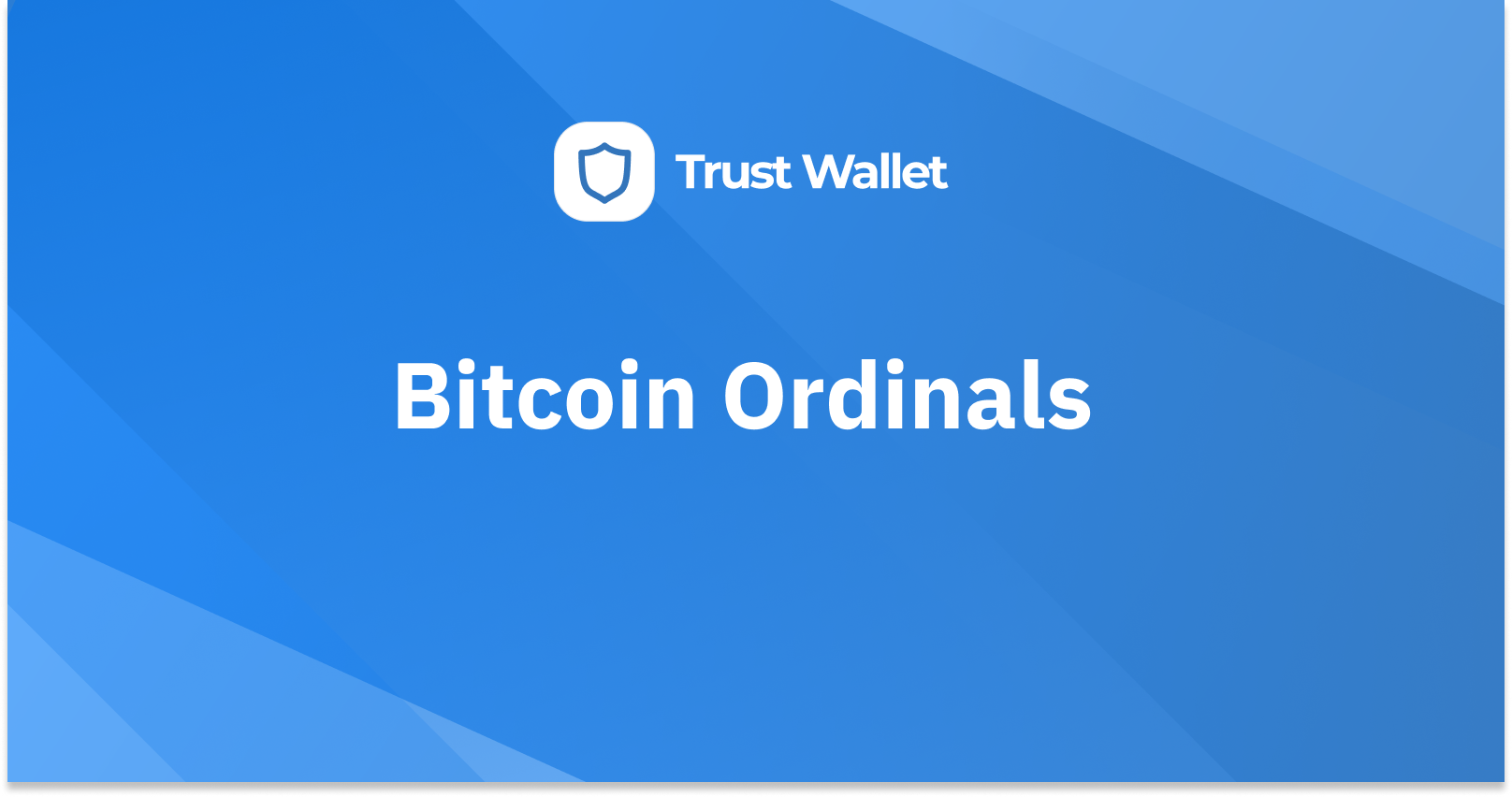 Bitcoin Ordinals: Everything You Need to Know