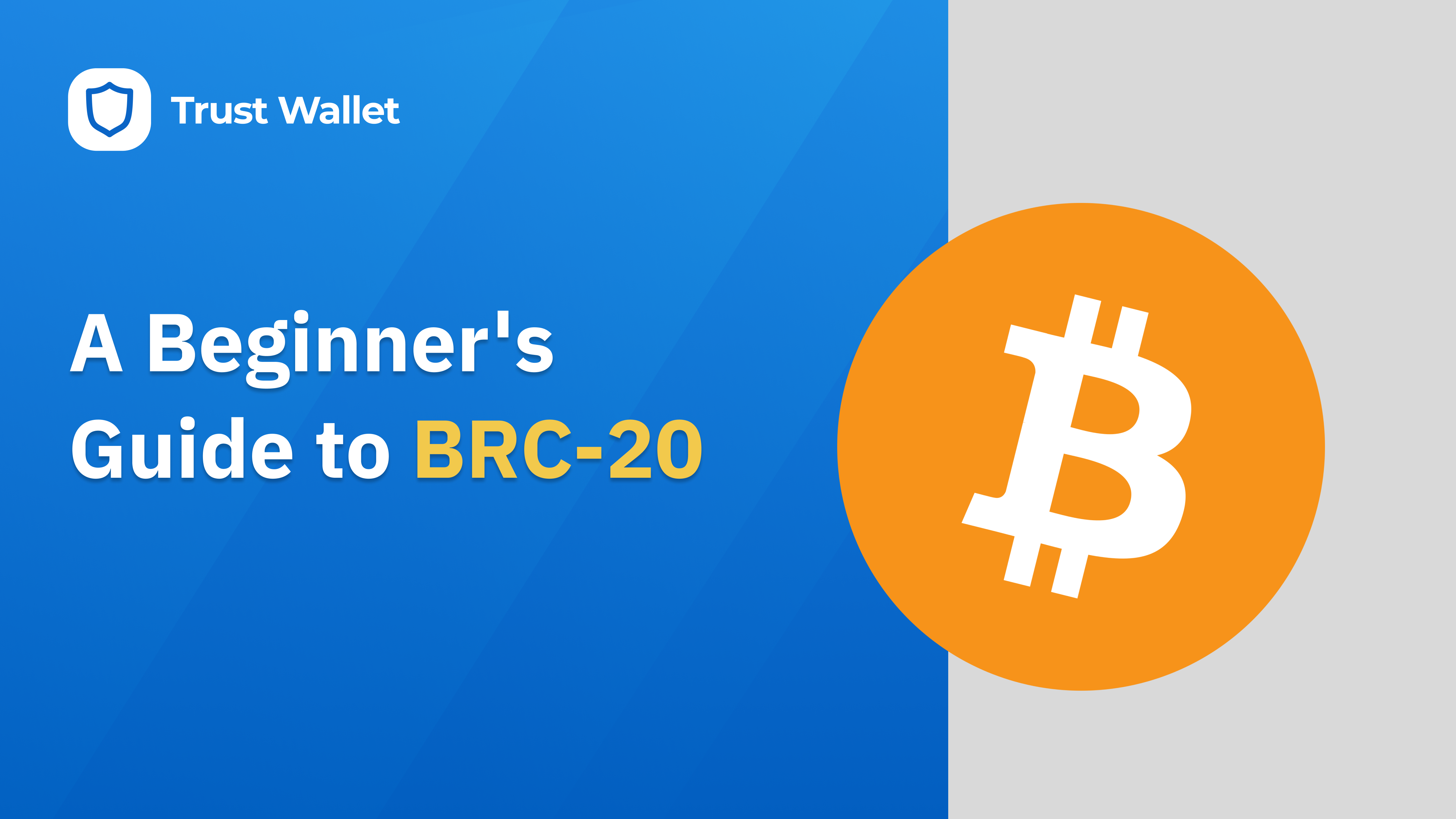 A Beginner's Guide to BRC-20