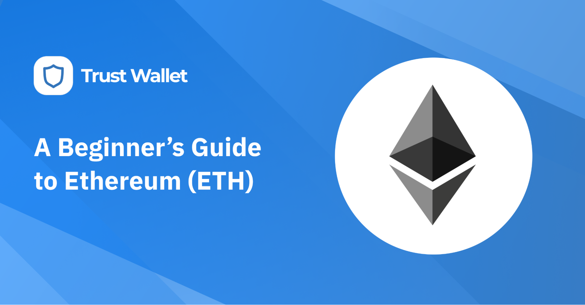 A Beginner's Guide To Ethereum
