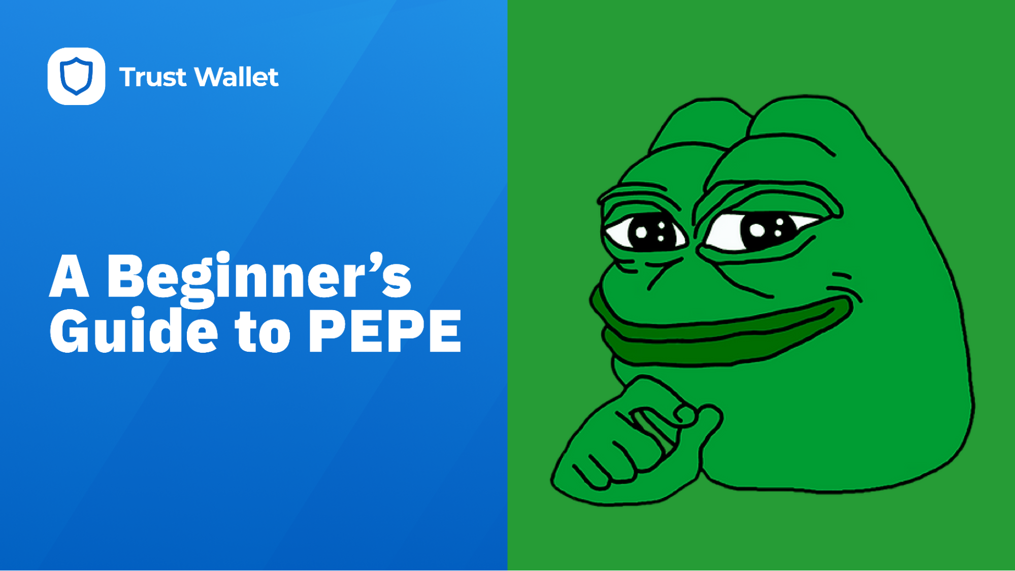 A Beginner’s Guide to PEPE Coin