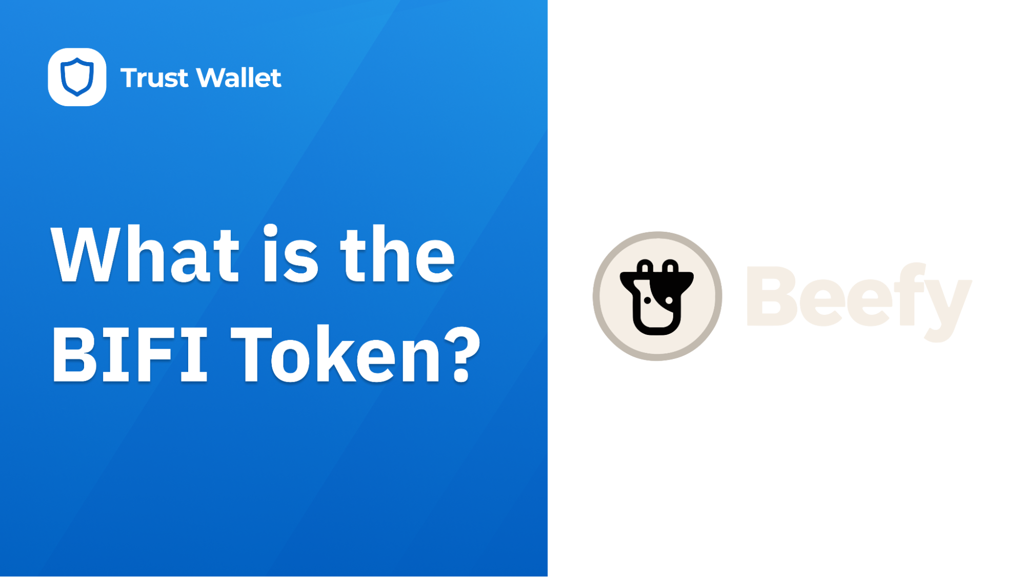 What is the BIFI token?
